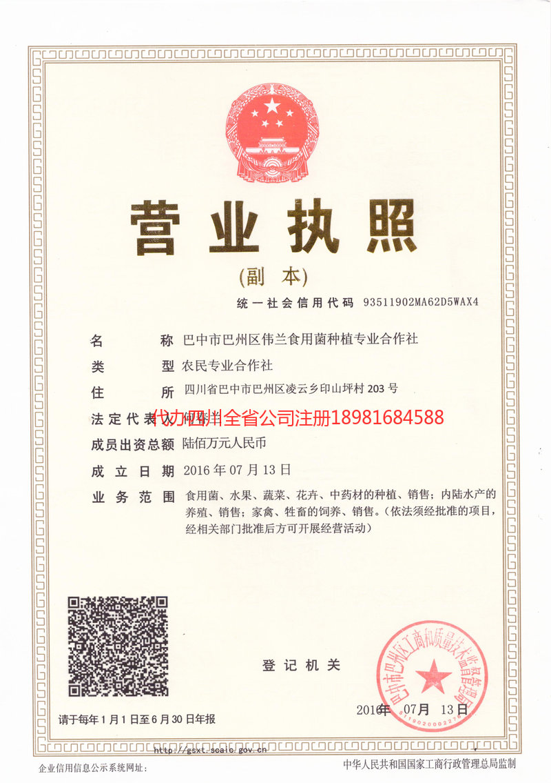 焦作焦作伟兰食用菌种植专业合作社